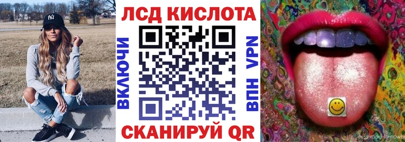 дарнет шоп  Жирновск  Наркотические марки 1,5мг 
