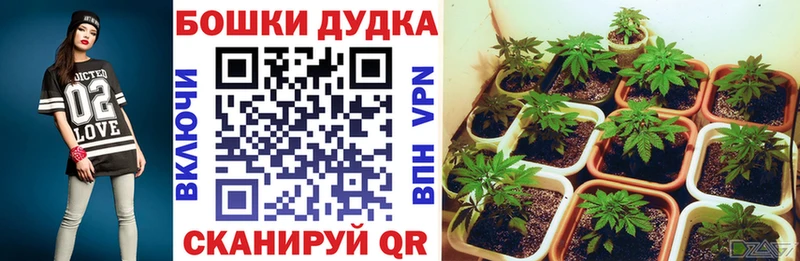 Бошки Шишки THC 21%  OMG вход  Жирновск 